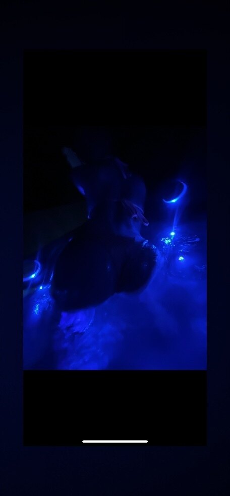 glowXo banner image