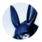 Luna Da Silva avatar