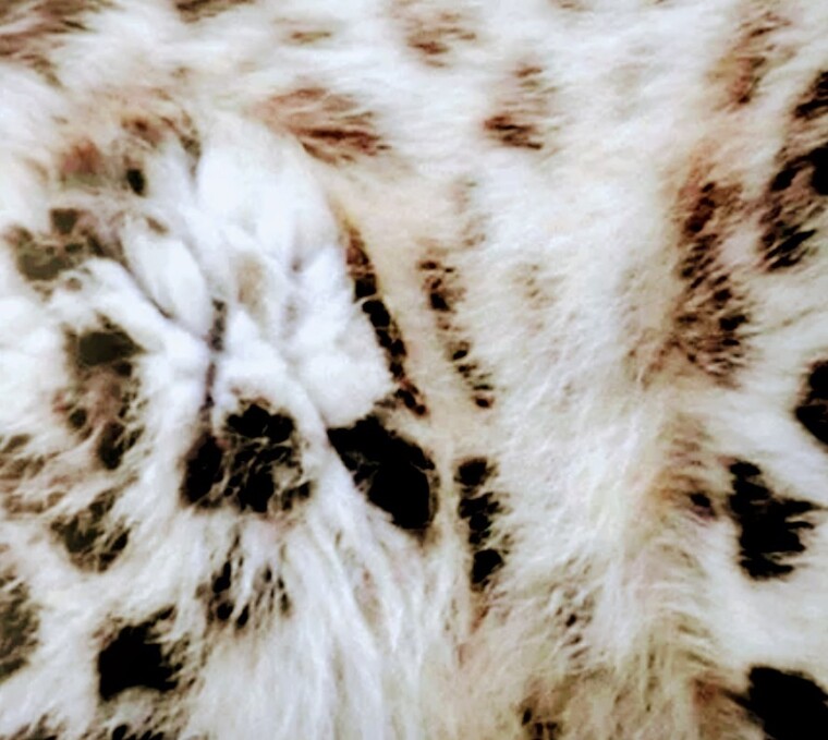 MsMerce's OnlyHands cover image