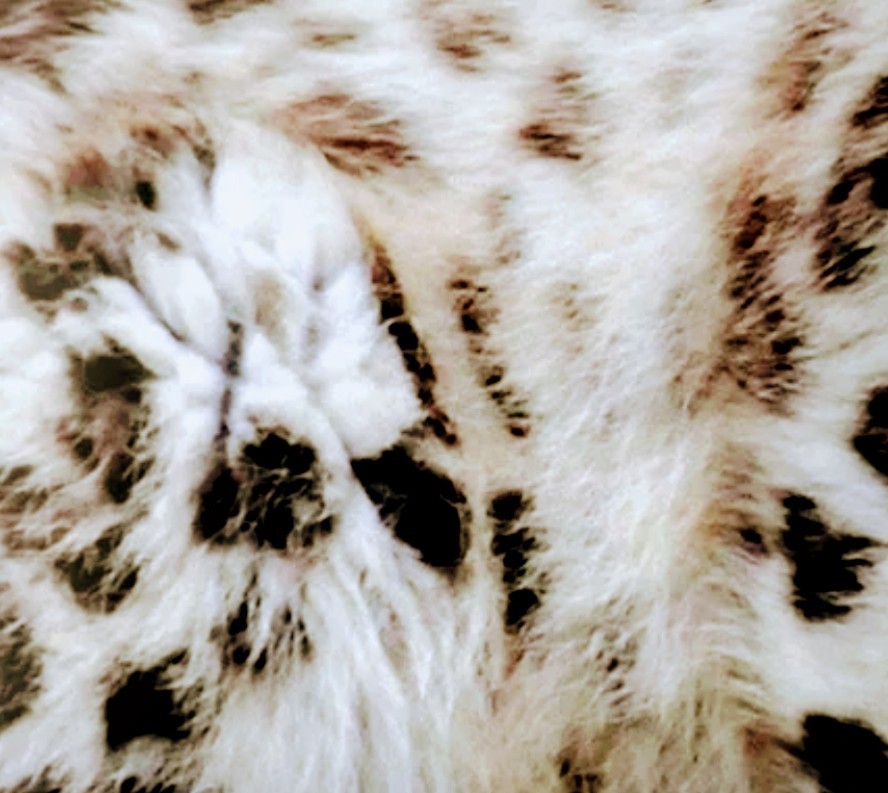 MsMerce's OnlyHands banner image