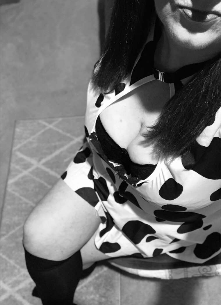 Suzi17 banner image