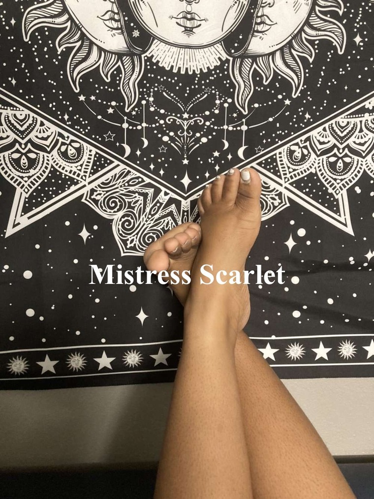 Mistress Scarlet cover image
