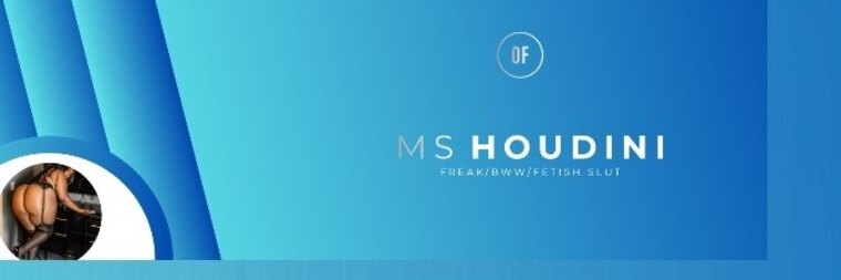 Mshoudini banner image