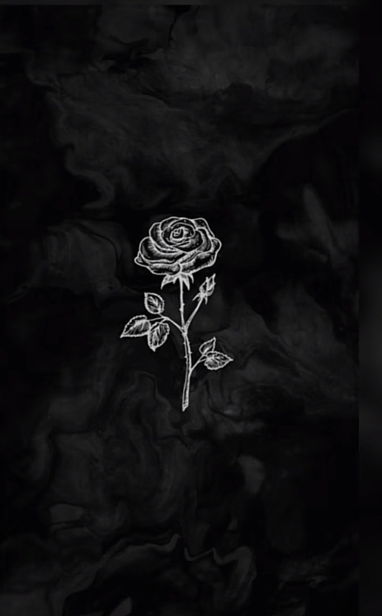 mucarelka cover image