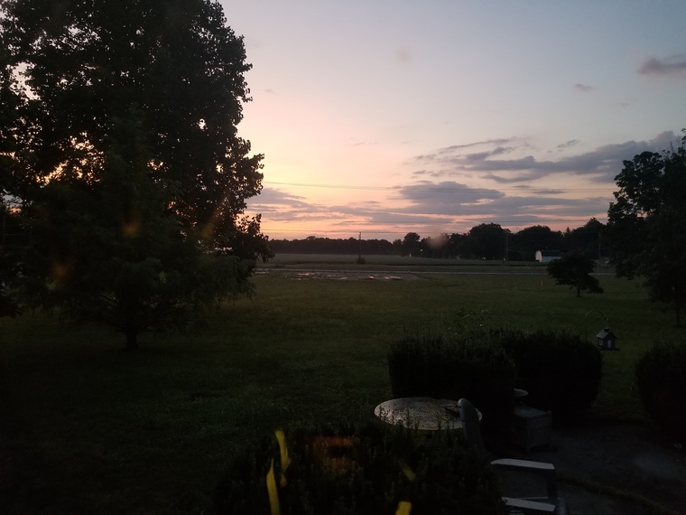 Mudaddy420 cover image