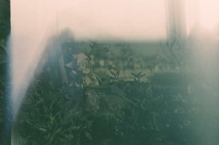 (él) muertes cover image