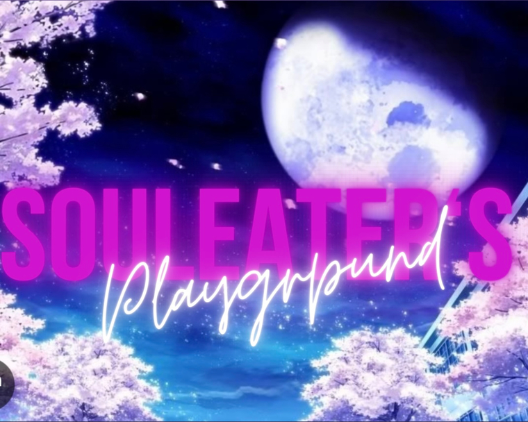SoulEater’s.Playground🧸💖 cover image