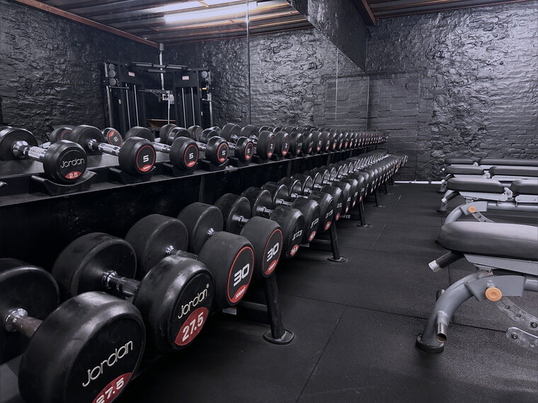 Muscle.avo cover image