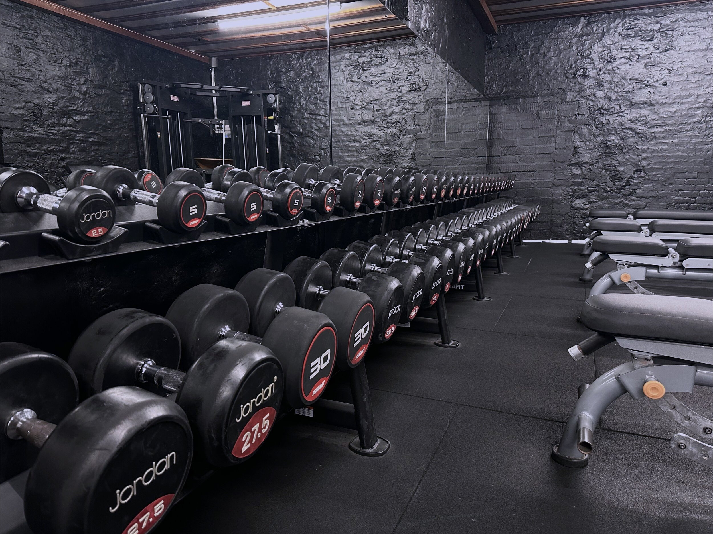 Muscle.avo banner image