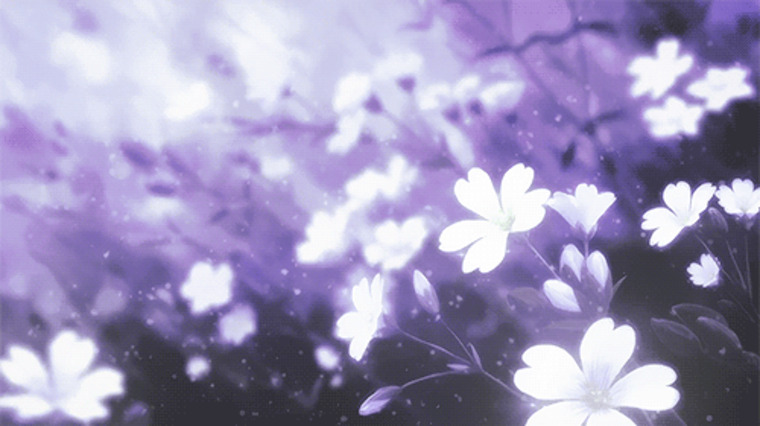Lena cover image