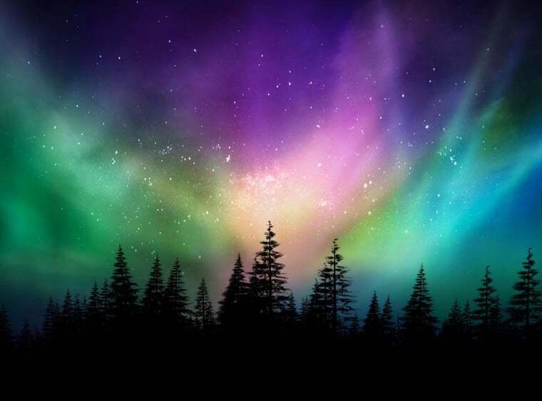 Mustarde banner image