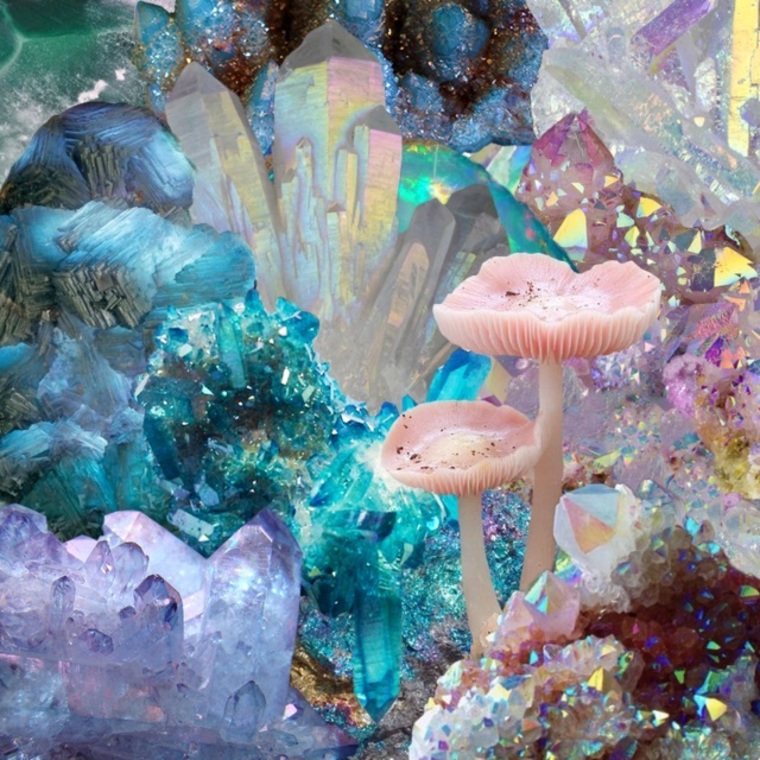 Mutty cover image