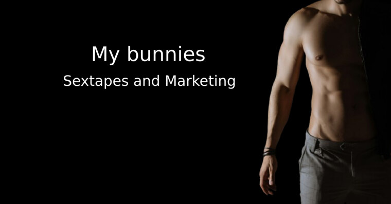 My Bunnies banner image