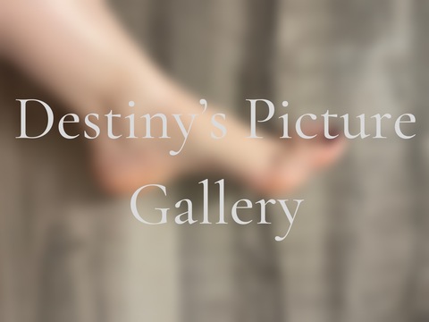 Destiny’s Picture Gallery cover image