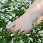 My_freak_feet avatar