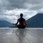 YogiFans avatar