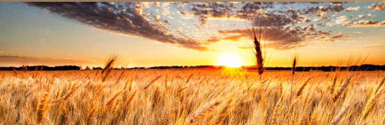 Mya Ryker banner image