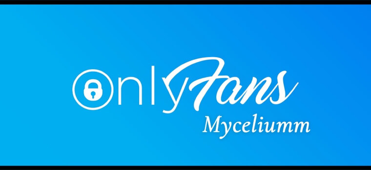 Myceliumm banner image