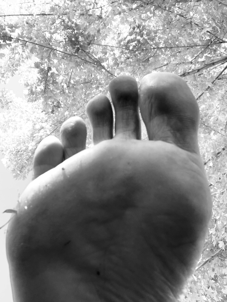 Myfeettreats4u banner image