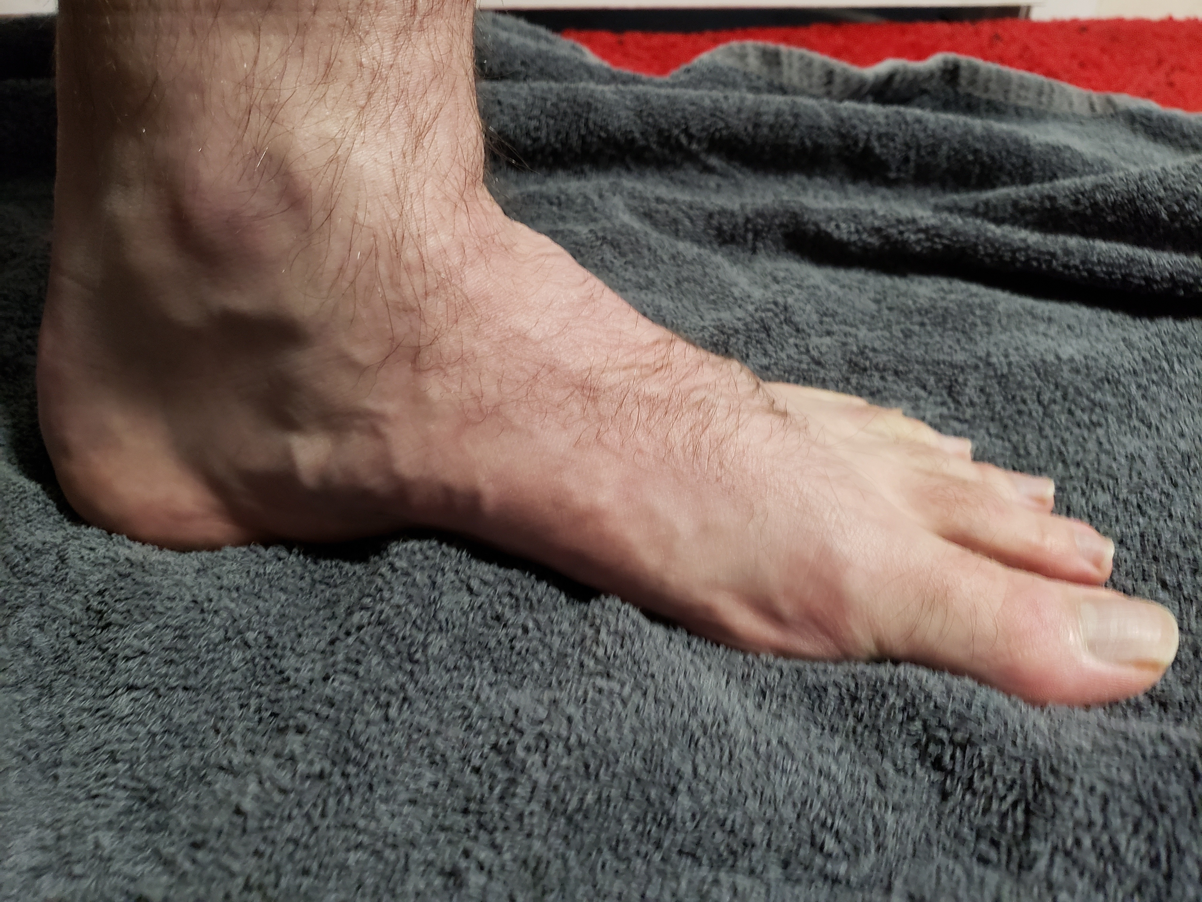 MyHobbittFeet banner image