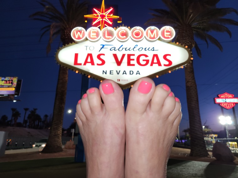 Mymagictoes444 banner image