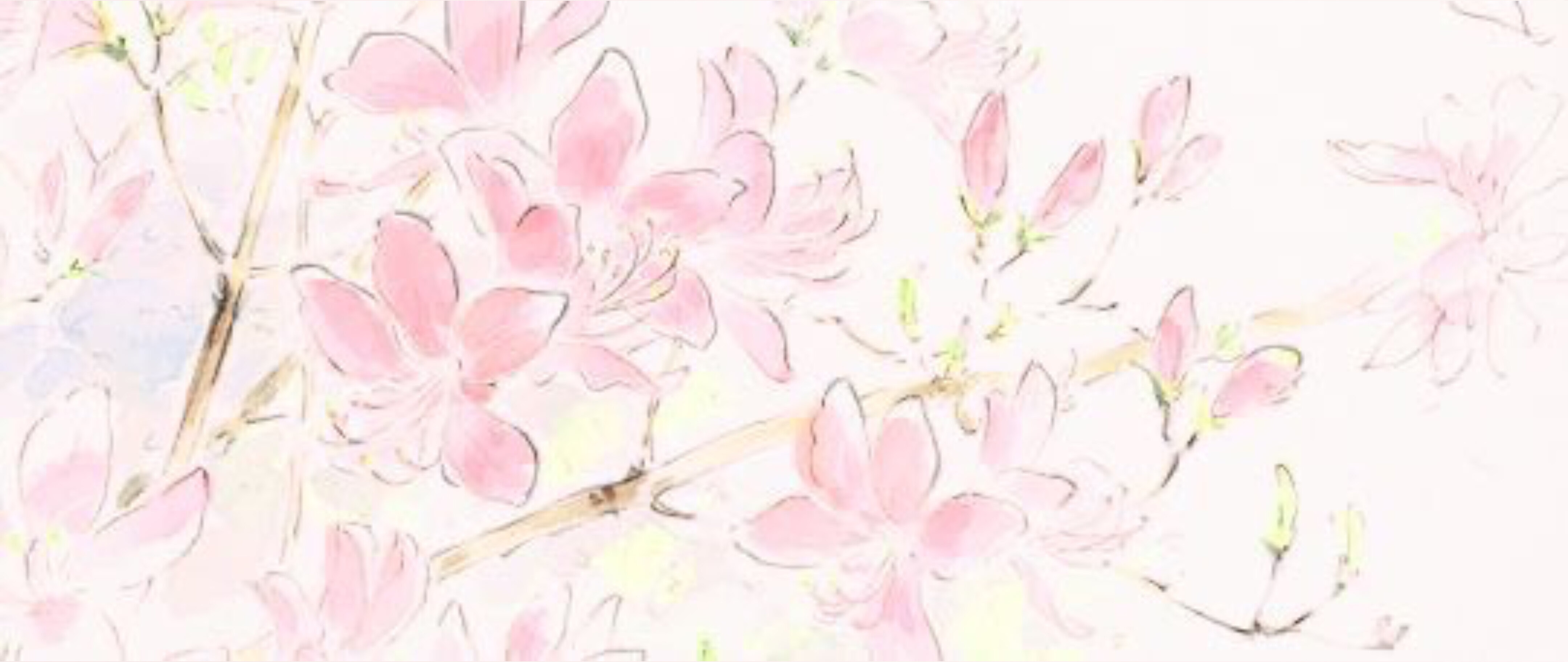 Pixie banner image