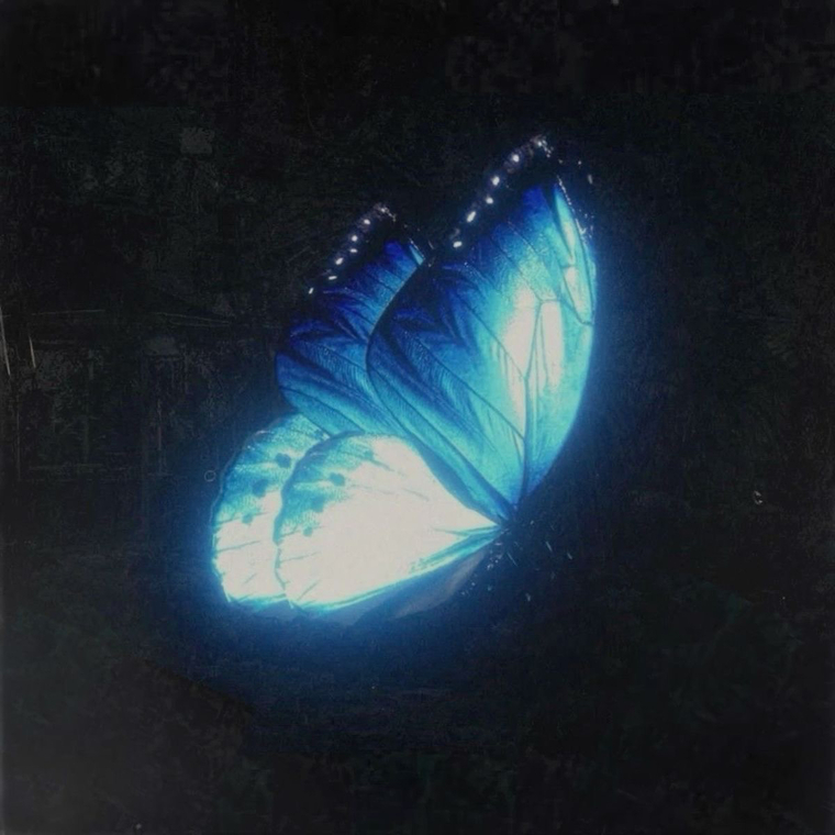 Myn 🦋🐾 cover image