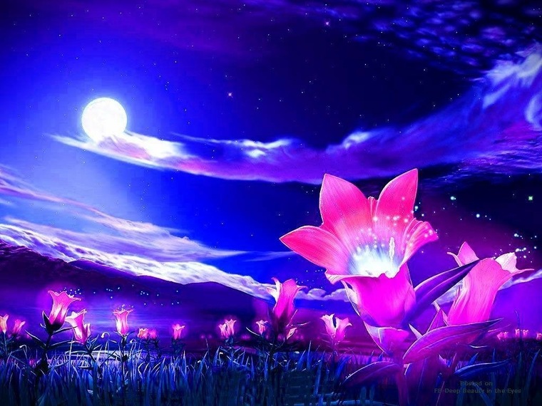 Mysstic cover image