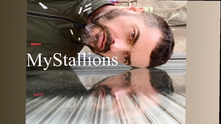 MyStallions cover image