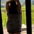 Plus-Size-Mystery avatar