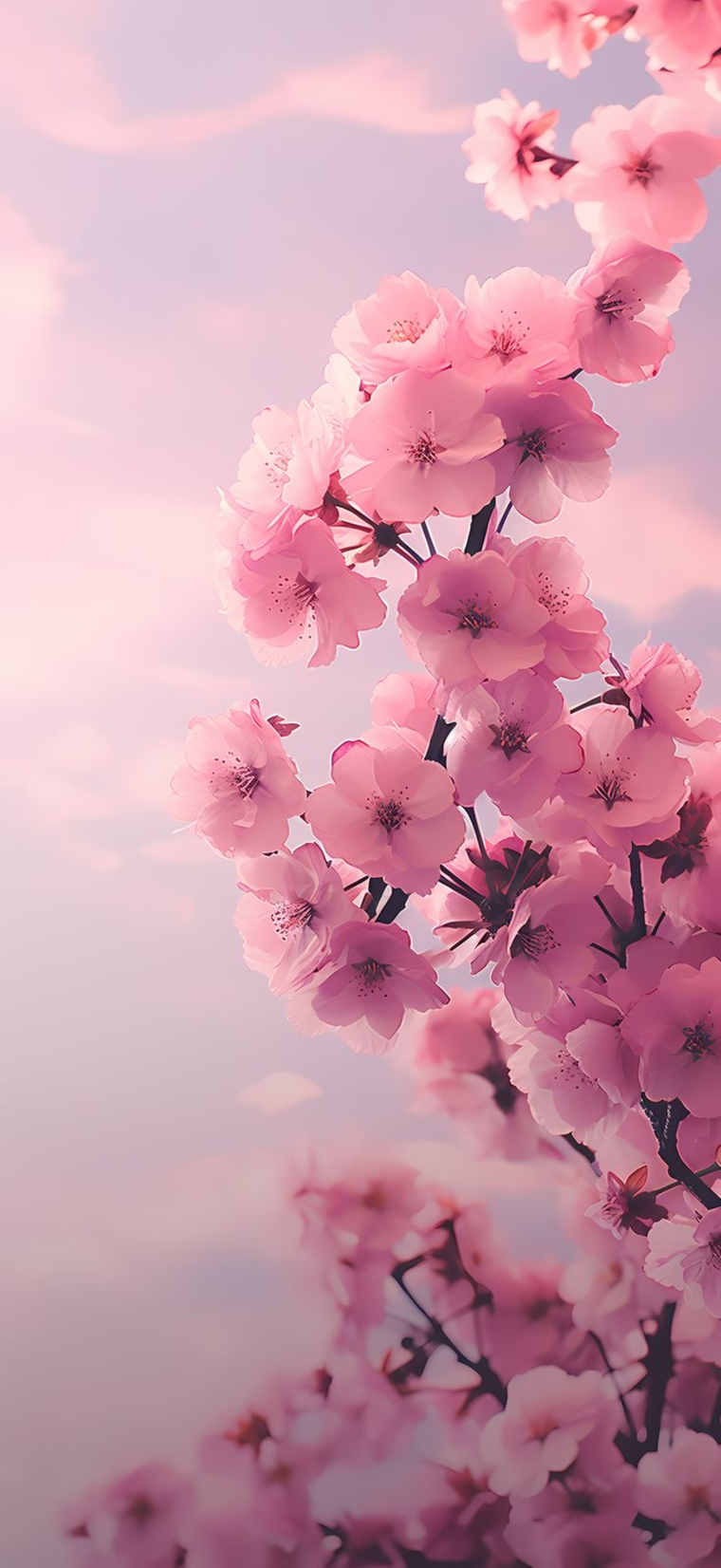 N. banner image