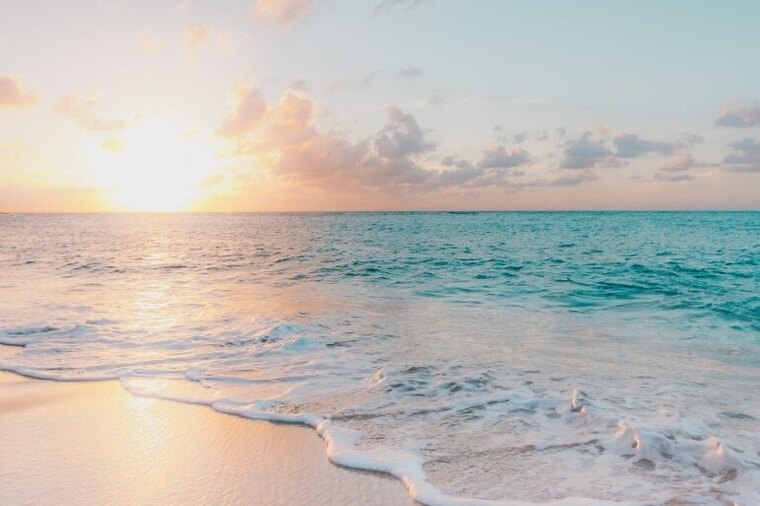 Megan banner image