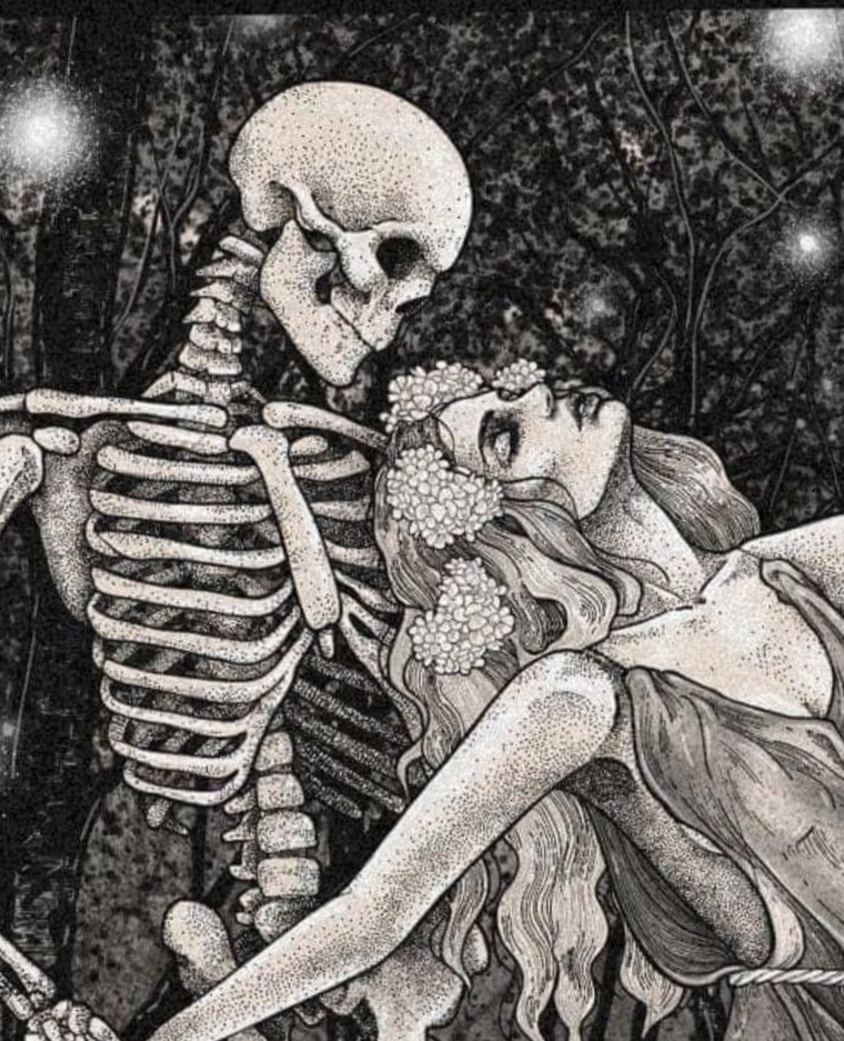 🌙Ari cover image