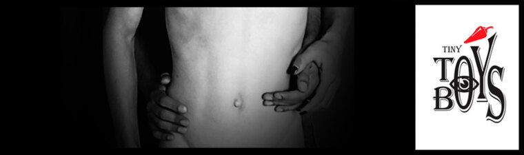 My Toy Boys cover image