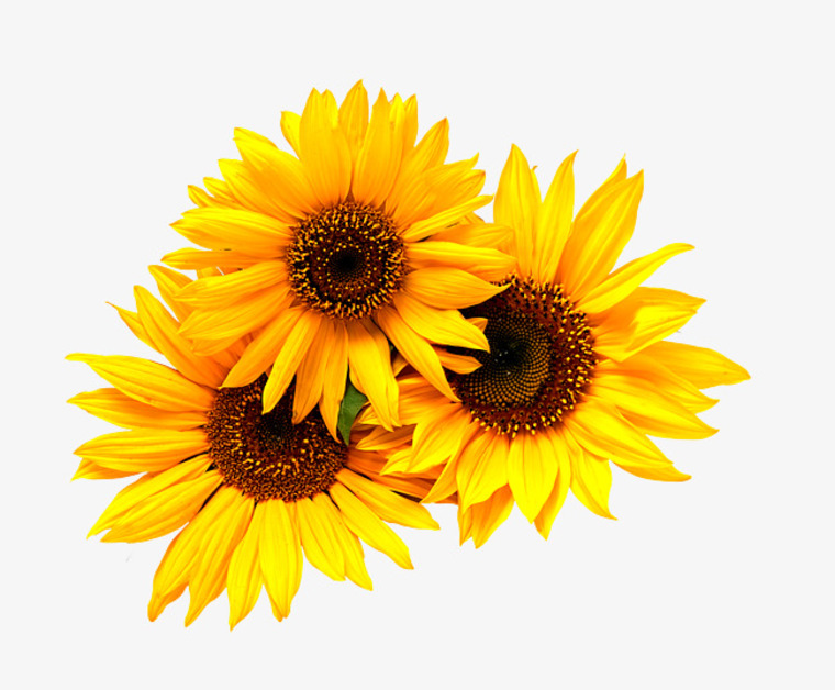 MzJuice banner image
