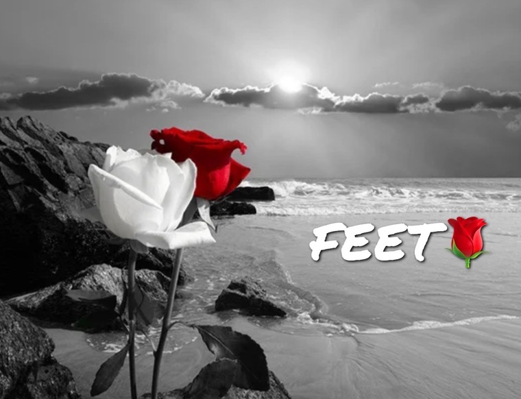mzlovelyfeet cover image