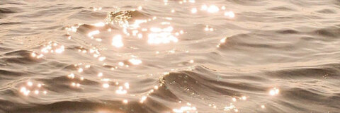 MEL’S VIP PAGE 🐻💦 cover image