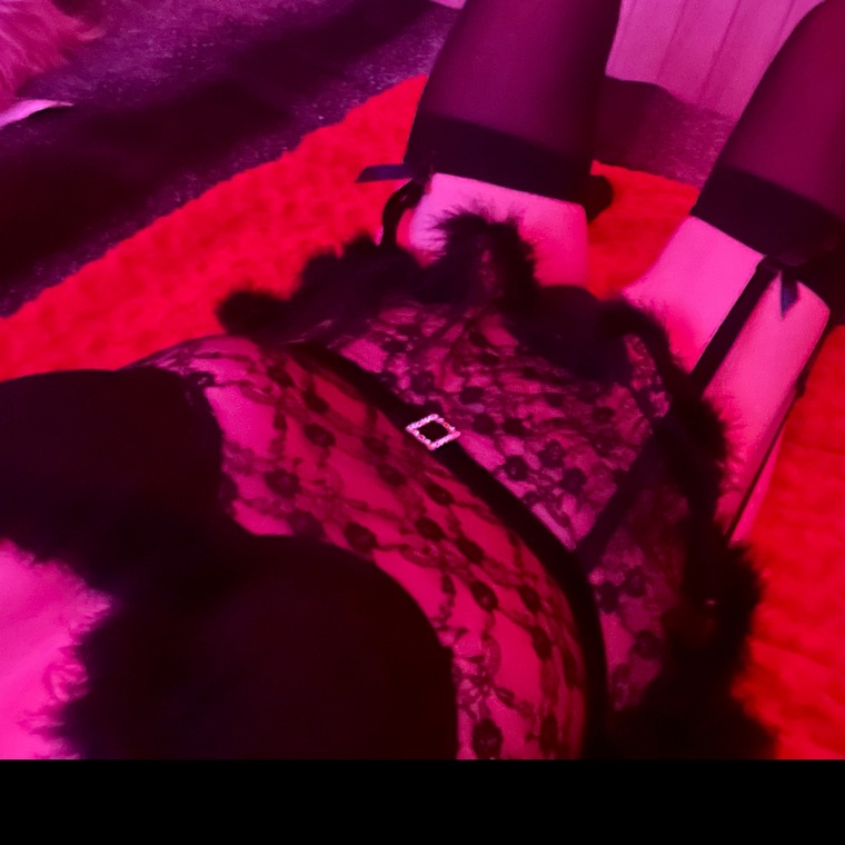 mzprettikitti cover image