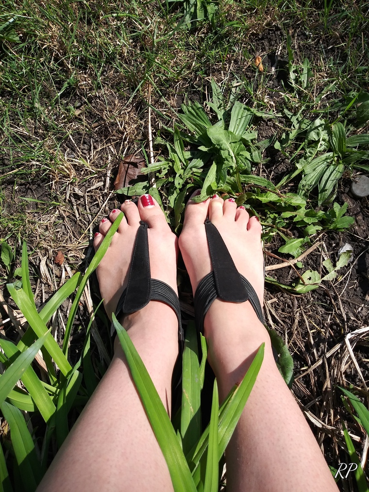 Nicolette_ChunkyToes cover image