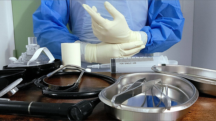 n_zoo_latex banner image