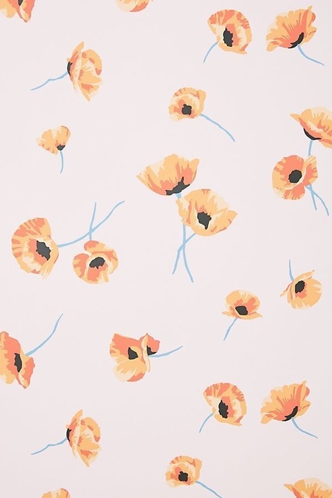 Nadine cover image