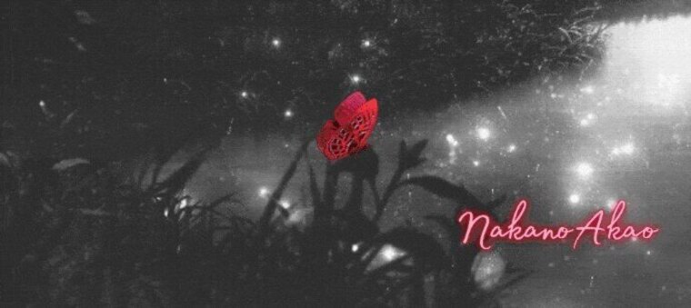Marissa cover image