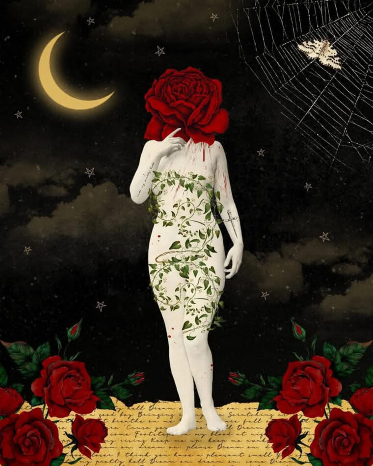Miss T cover image