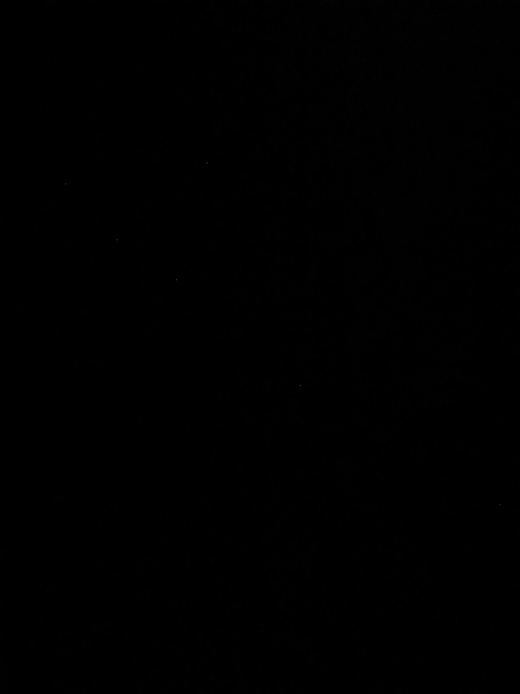 David cover image