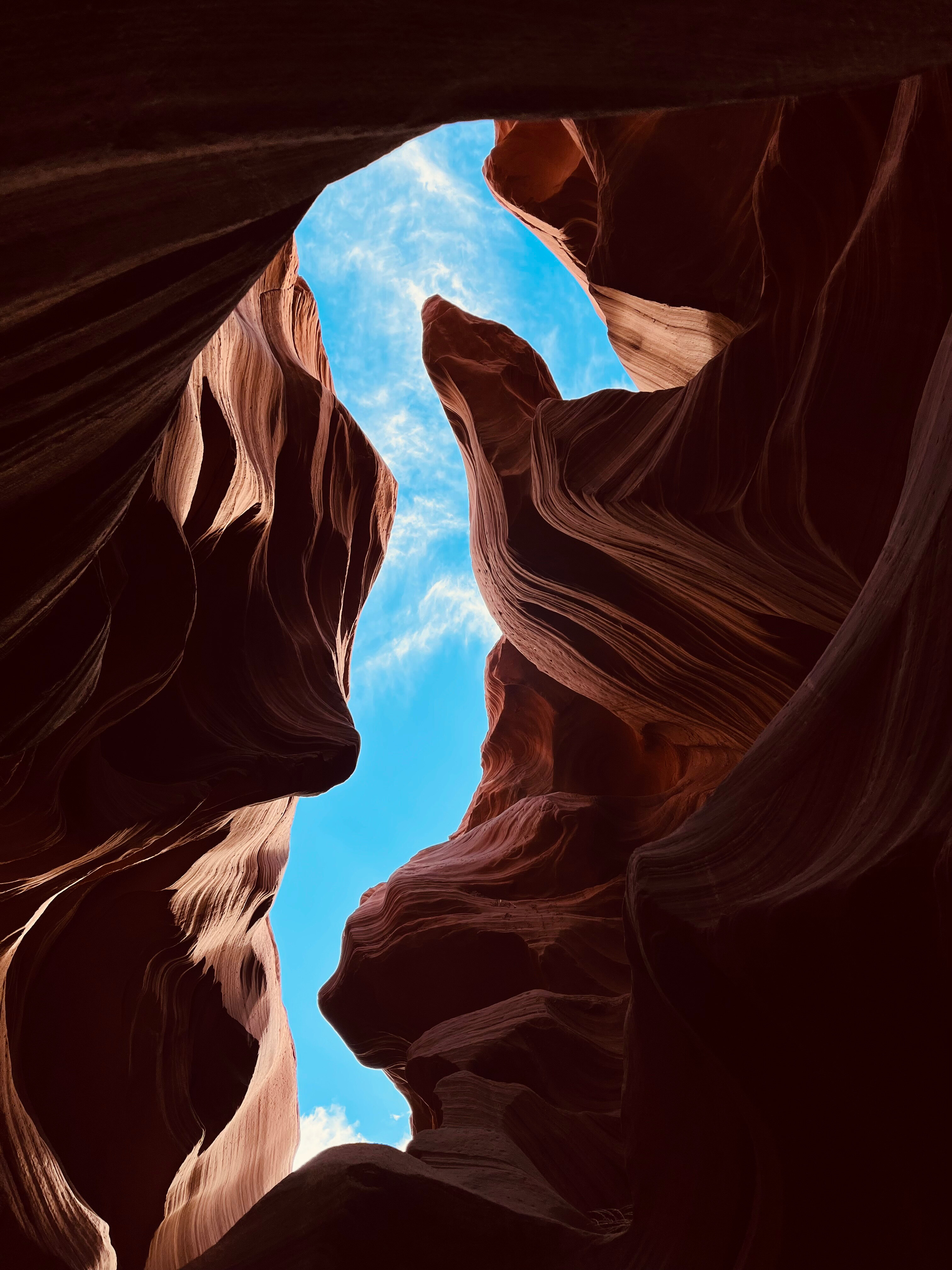 Nakedjaguar banner image