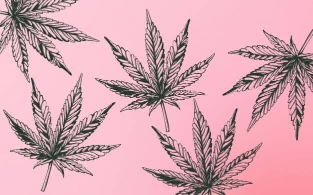 Zoey banner image