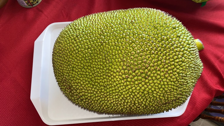Foodie cover image