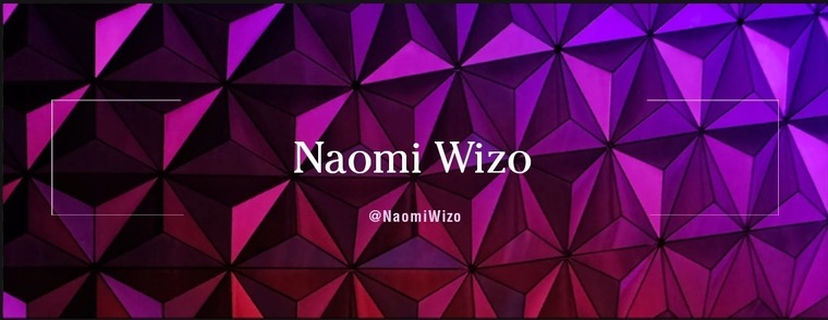 Naomi  Wizo cover image