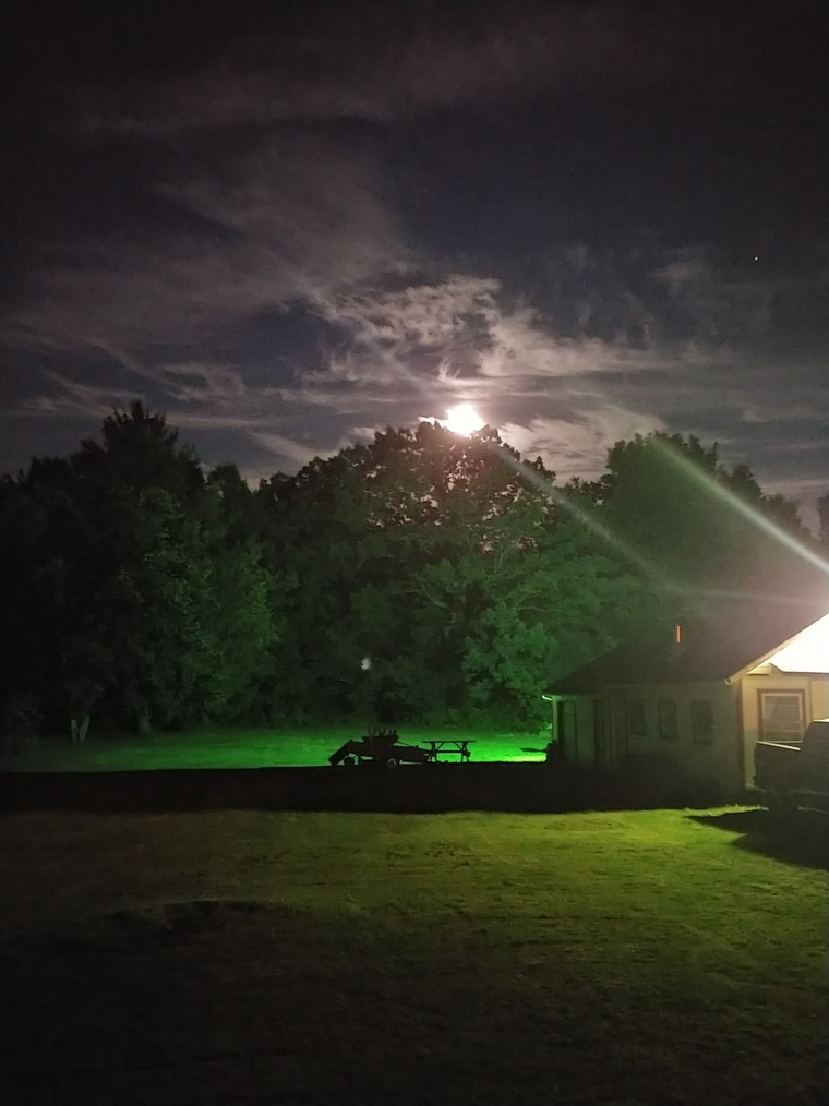 u47793636 cover image