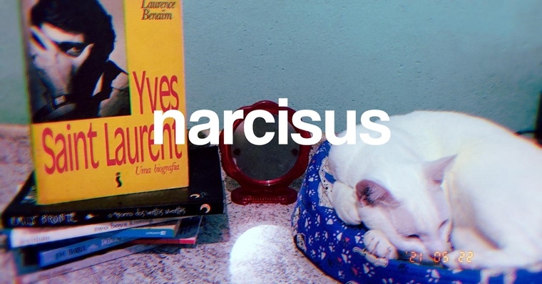 narcisus phil banner image